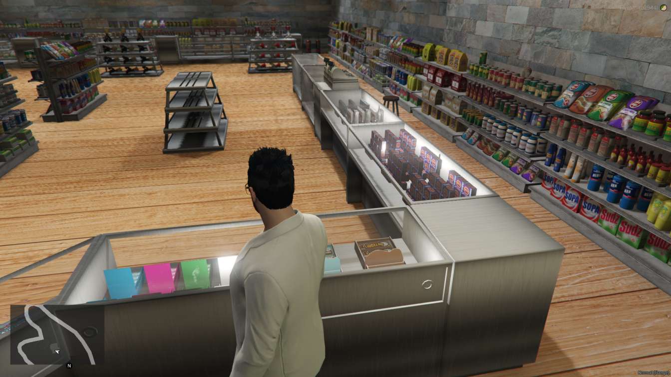 FiveM Pet Shop MLO - Image 4