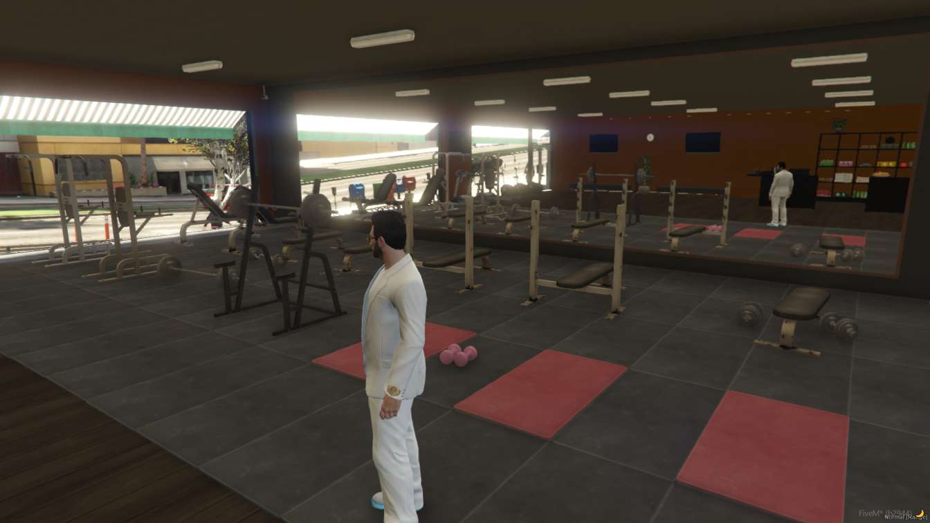 FiveM Pablito Gym MLO - Image 3